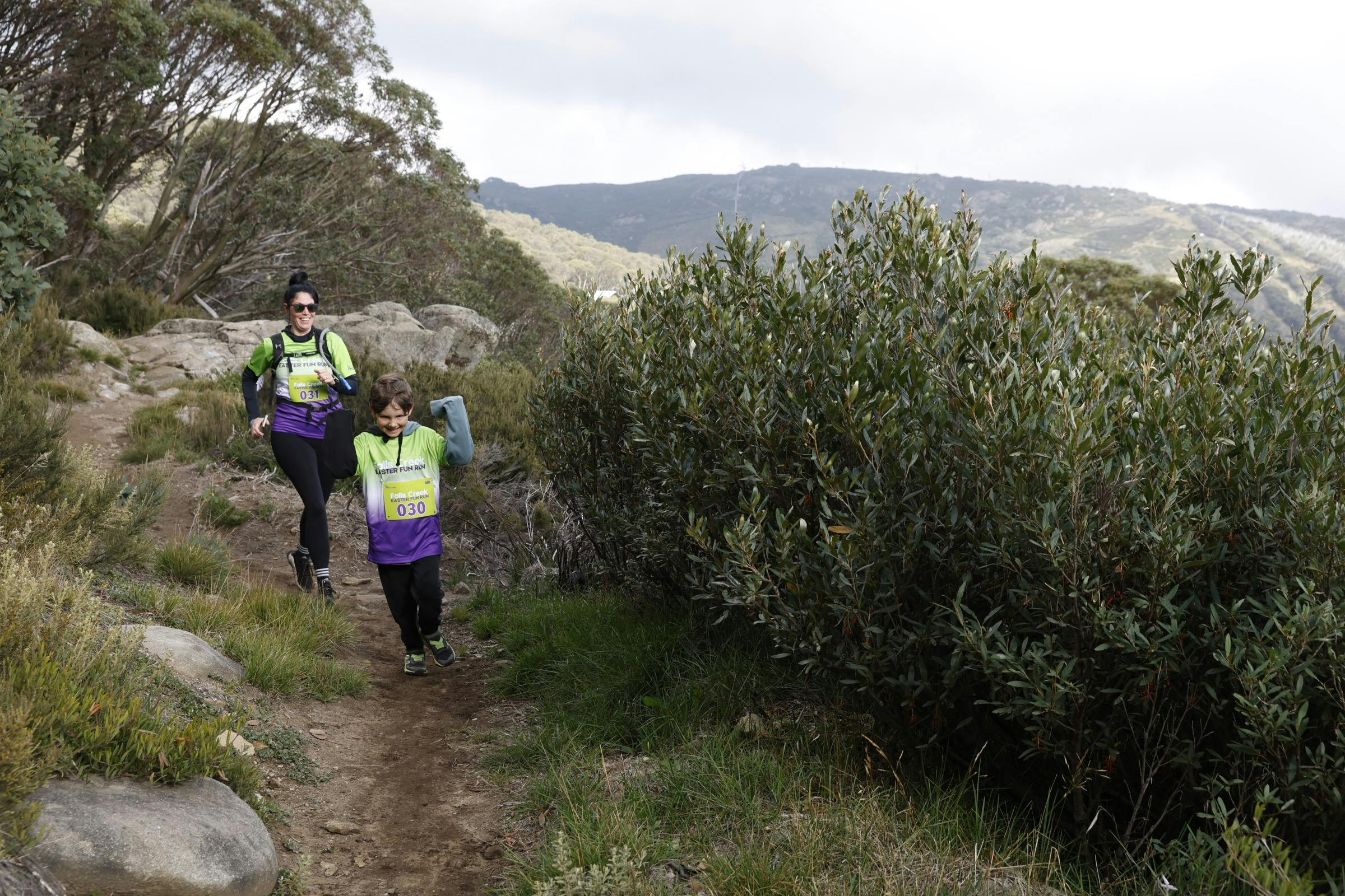 Running through the Snowgums