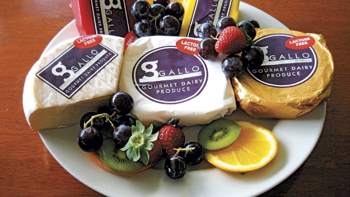 taste cheeses and buy