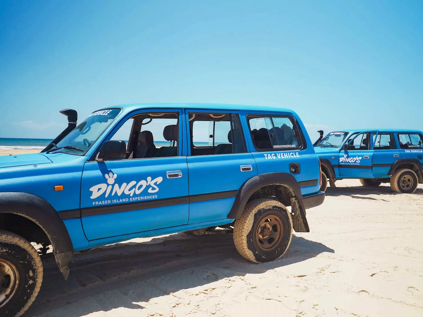 Dingo's K'gari Adventures - 4WD Tag Vehicles