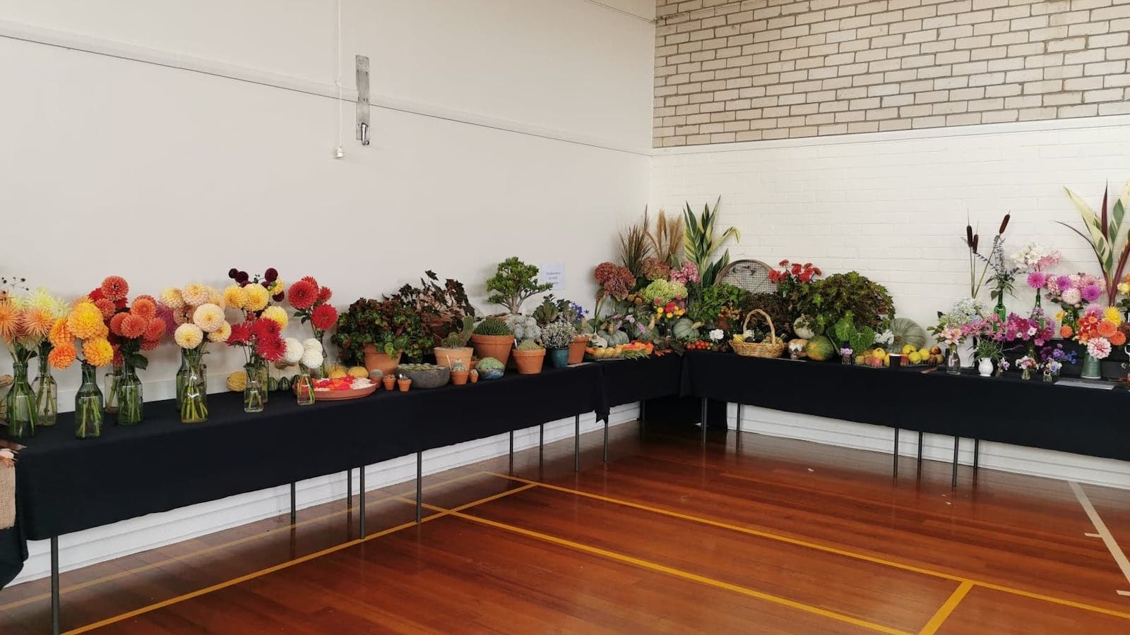 Flowers in a hall at Launceston Horticultural Society's seasonal flower show