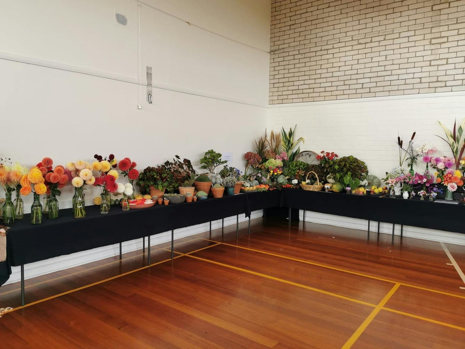 Flowers in a hall at Launceston Horticultural Society's seasonal flower show
