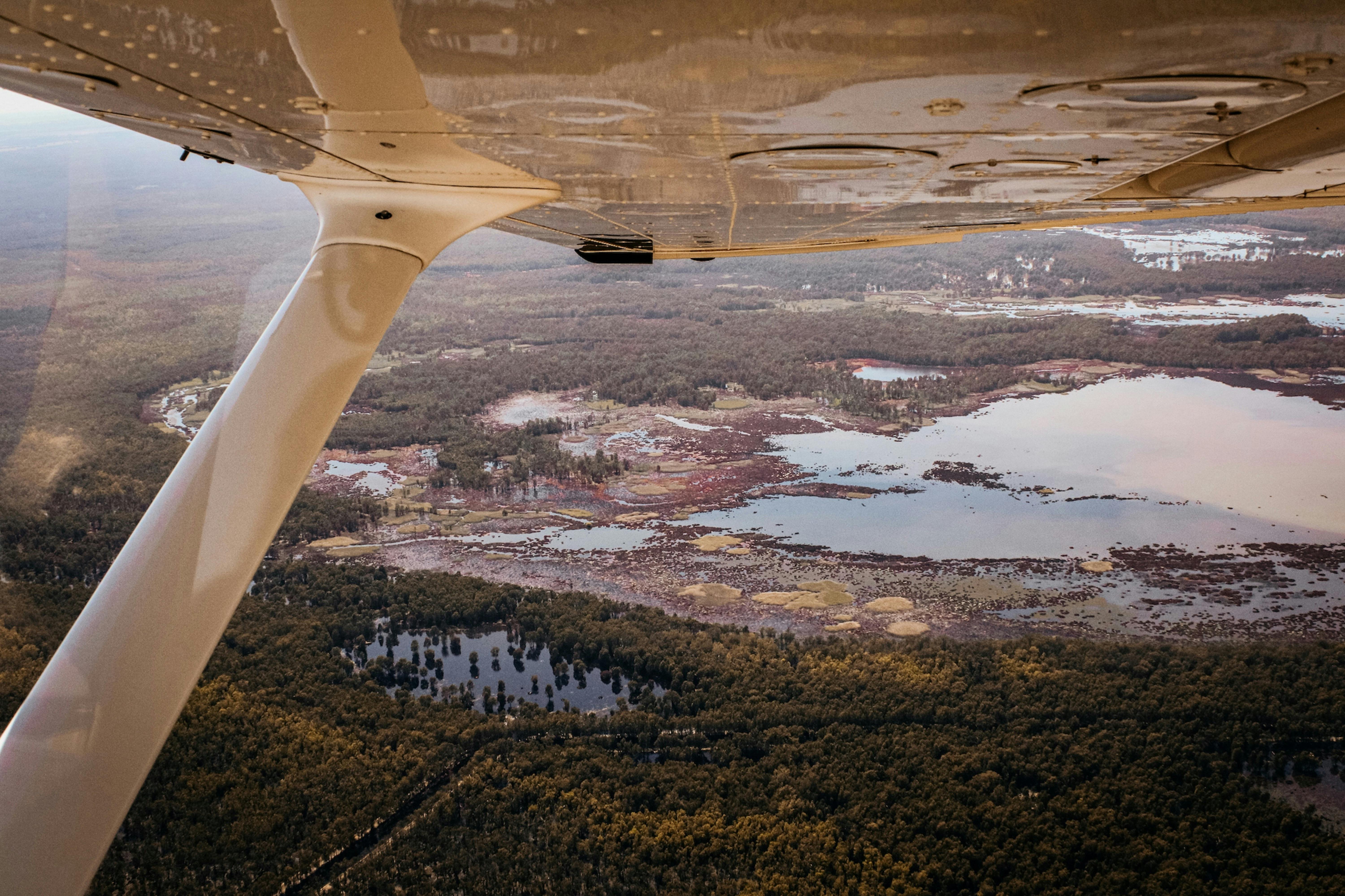 Image showing plane wing and passenger view of pink wetlands in redgum forest.