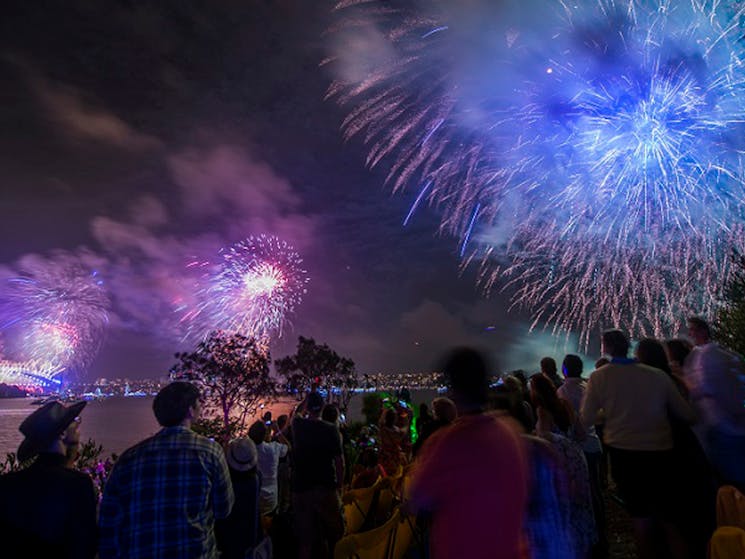View of fireworks from Clark Island