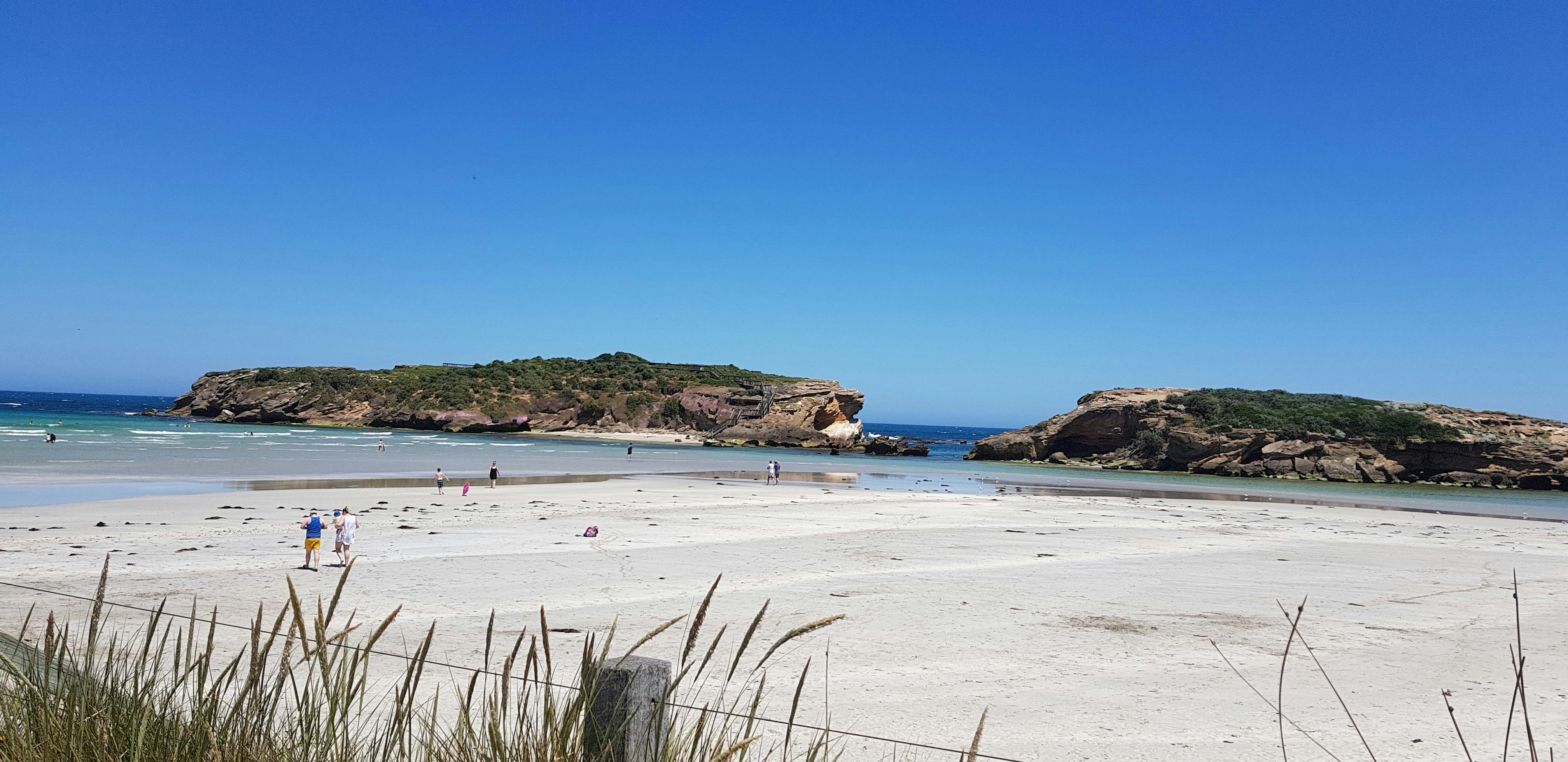 Middle Island, Little Penguins, Maremma Dogs