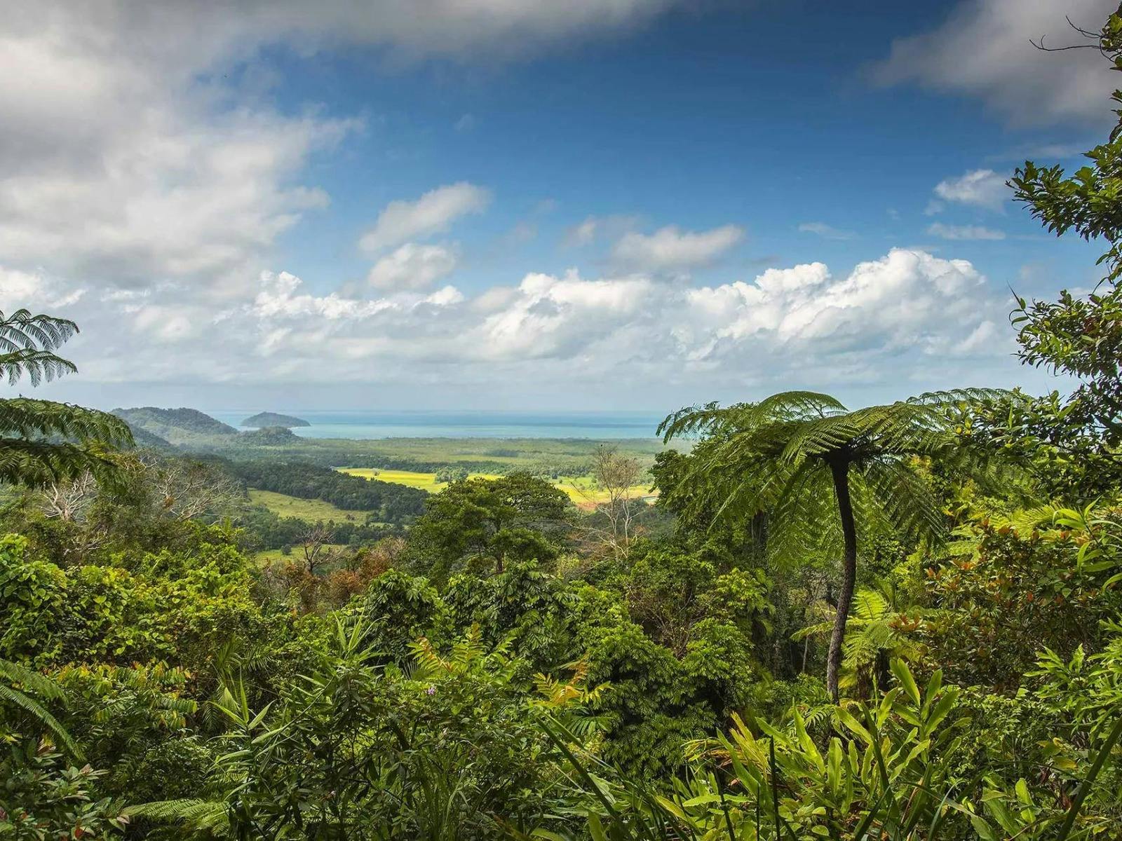 Brisbane to Cairns Adventure