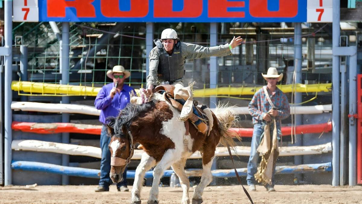 Mareeba Rodeo | Events | Queensland