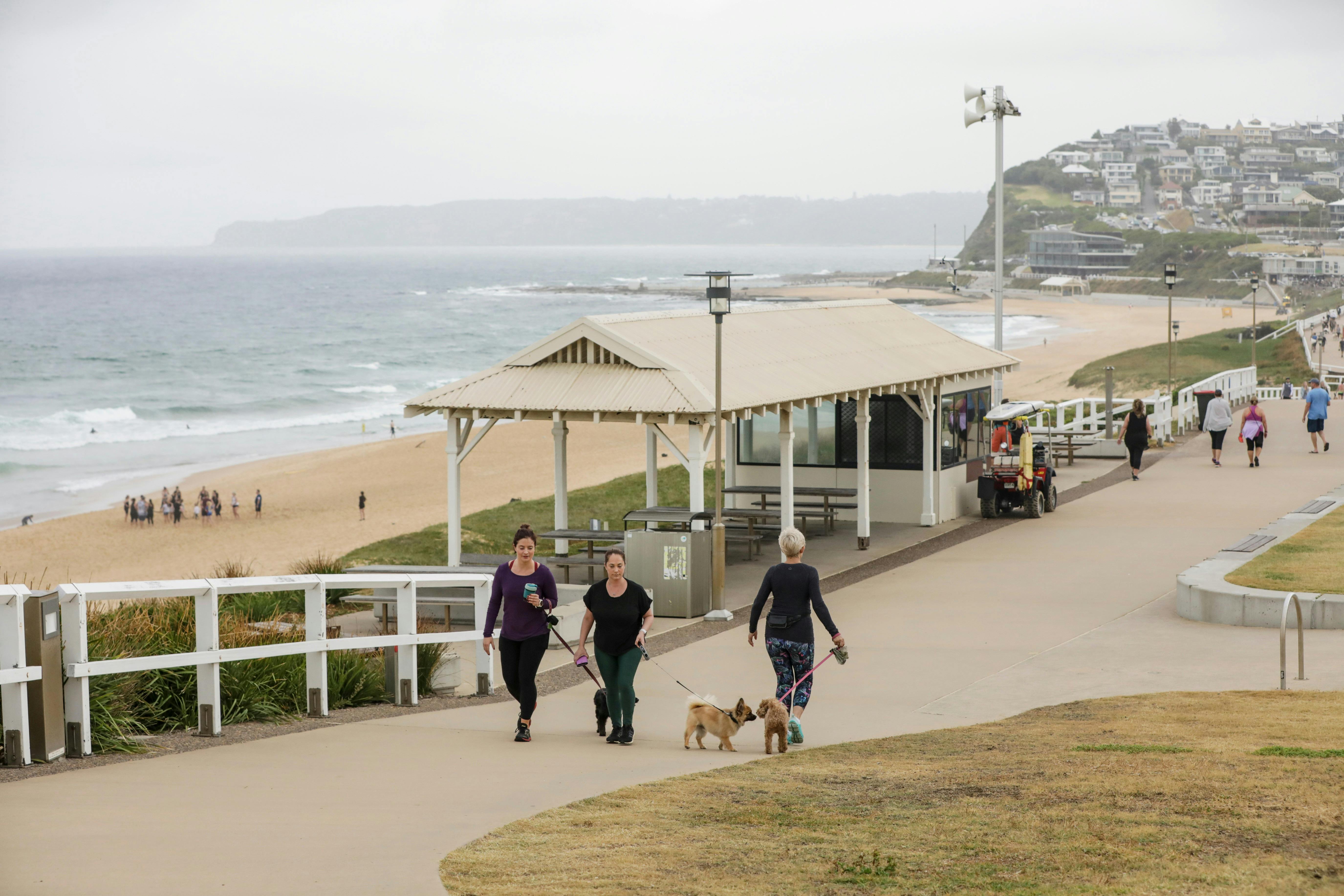 ディクソンパークビーチ