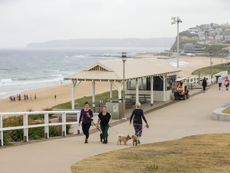 Dixon Park Beach