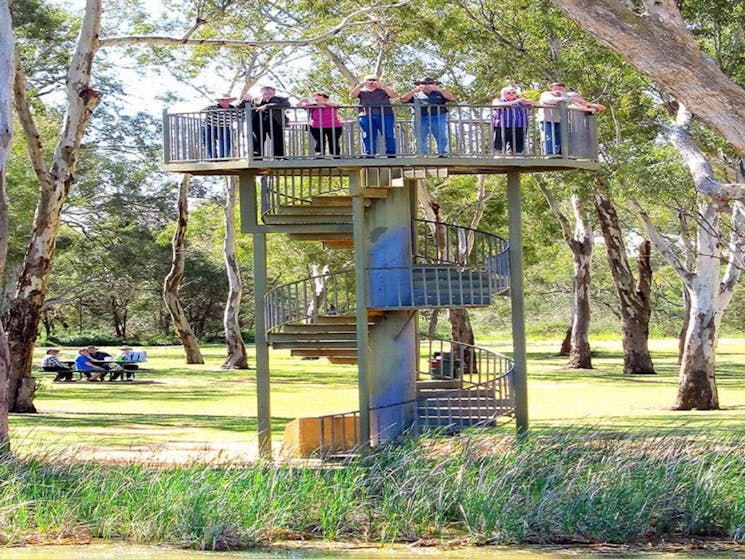 Darling and Murray River Junction and Viewing Tower