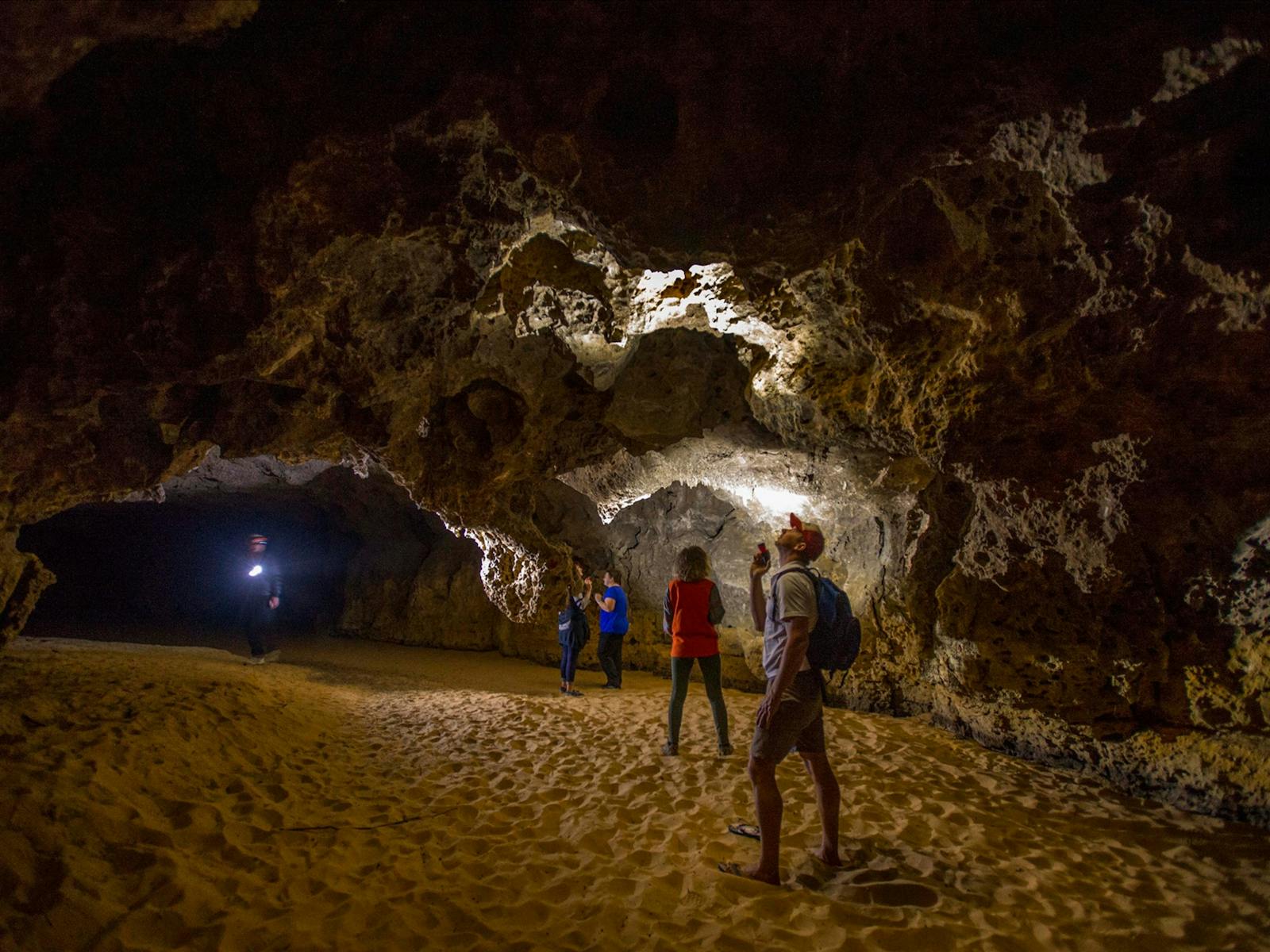 Stockyard Gully Caves
