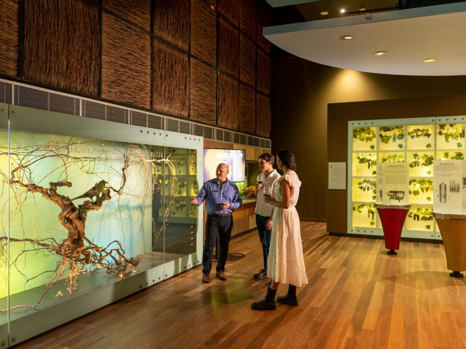 Hosted Tour in the Wine Discovery Journey