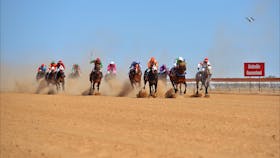 Birdsville Races