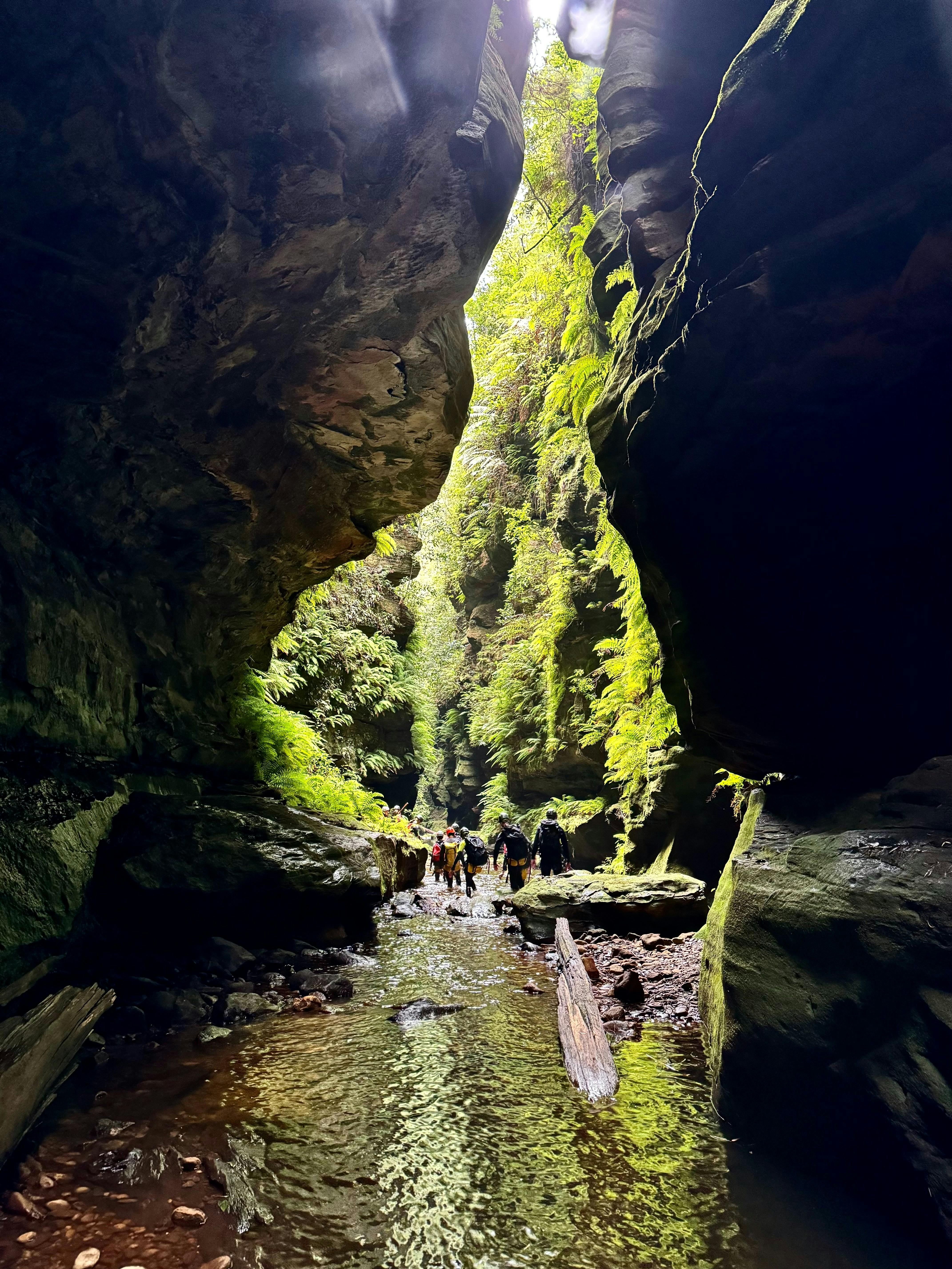 개인 초보자 현수하강 협곡