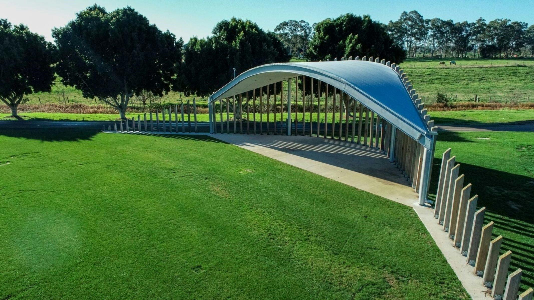 Billy Buttons Markets