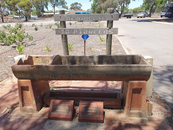 Hitching Rail and Horse Watering Trough