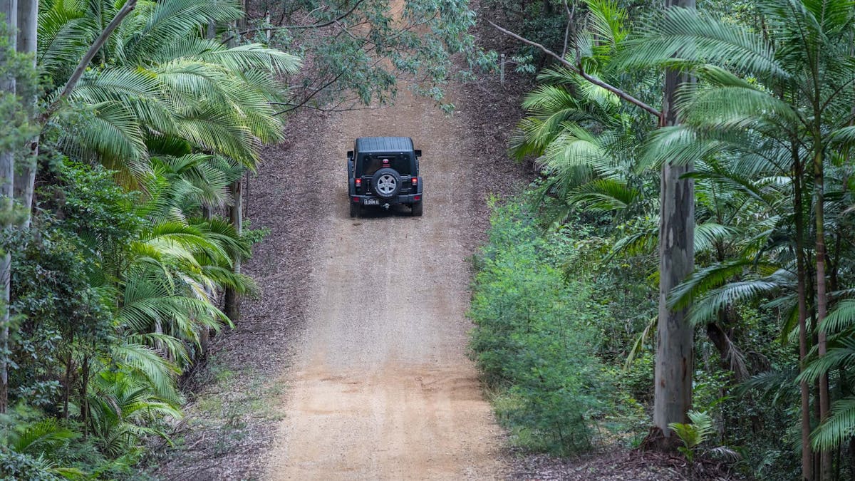 4x4 vehicle driving up a hill on a track in the Mount Mee Forest Reserve