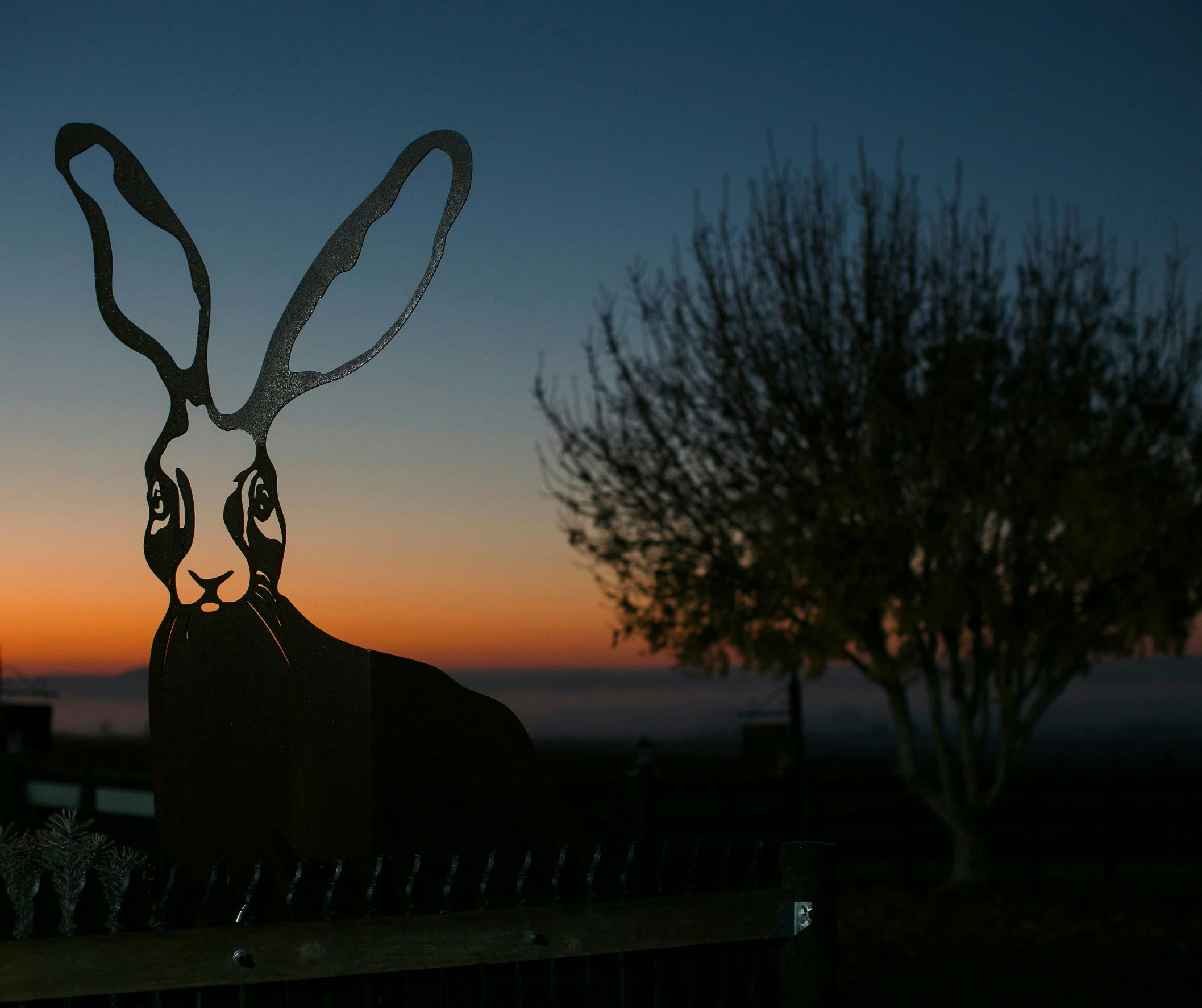 Mt Coghill Vineyard View morning sunrise