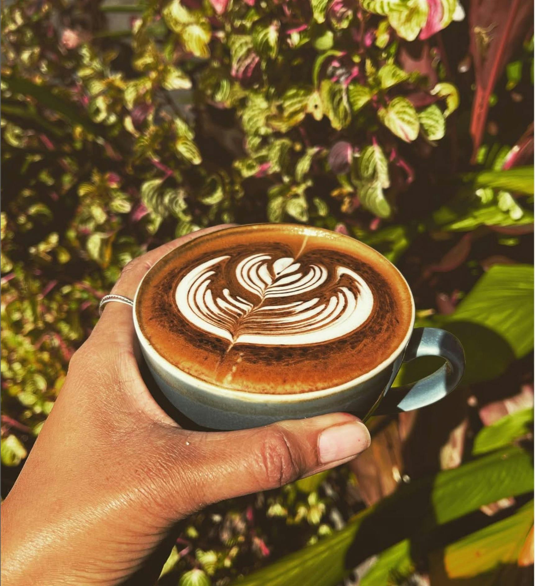 Liberty Providores Urunga