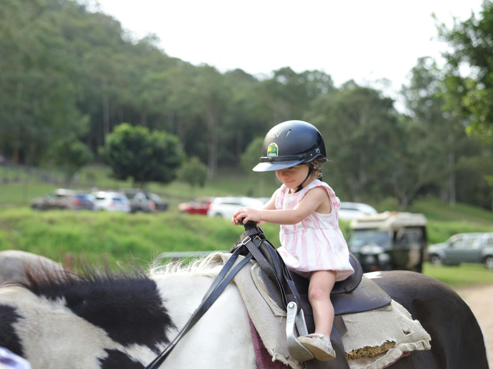 Glenworth Valley Wilderness Adventures Horse Riding