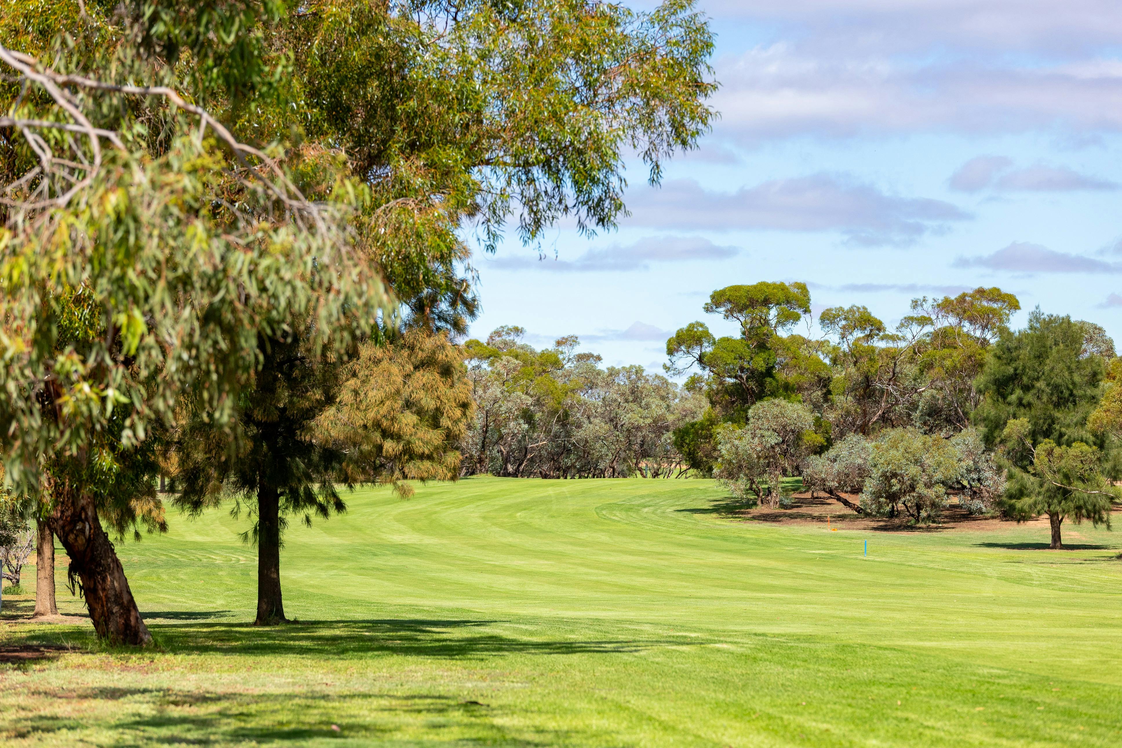 The 14th Fairway