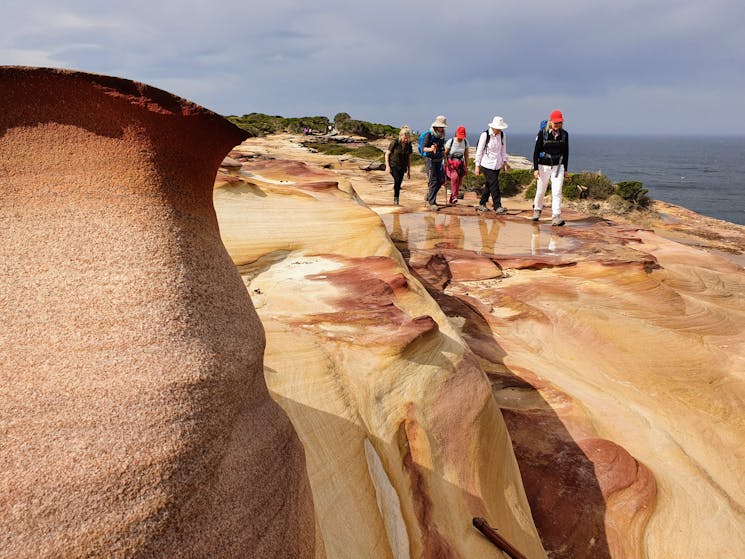 Sydney Royal National Park 2-Day Pack-Free Guided Walk from Life's An Adventure