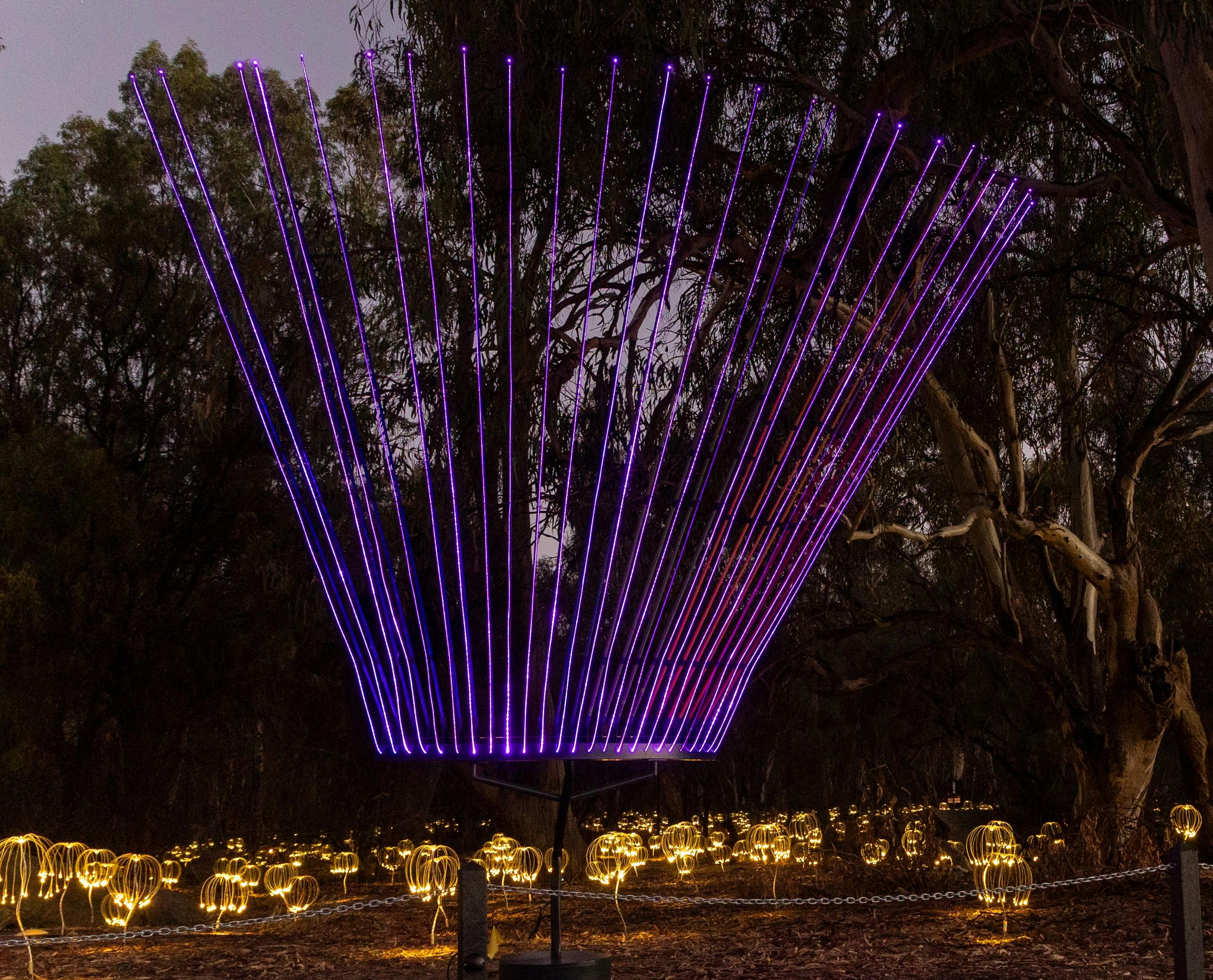 TOL - Fireflies & Gone Fishing Installations