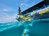 An individual jumping from the boats edge into the water.