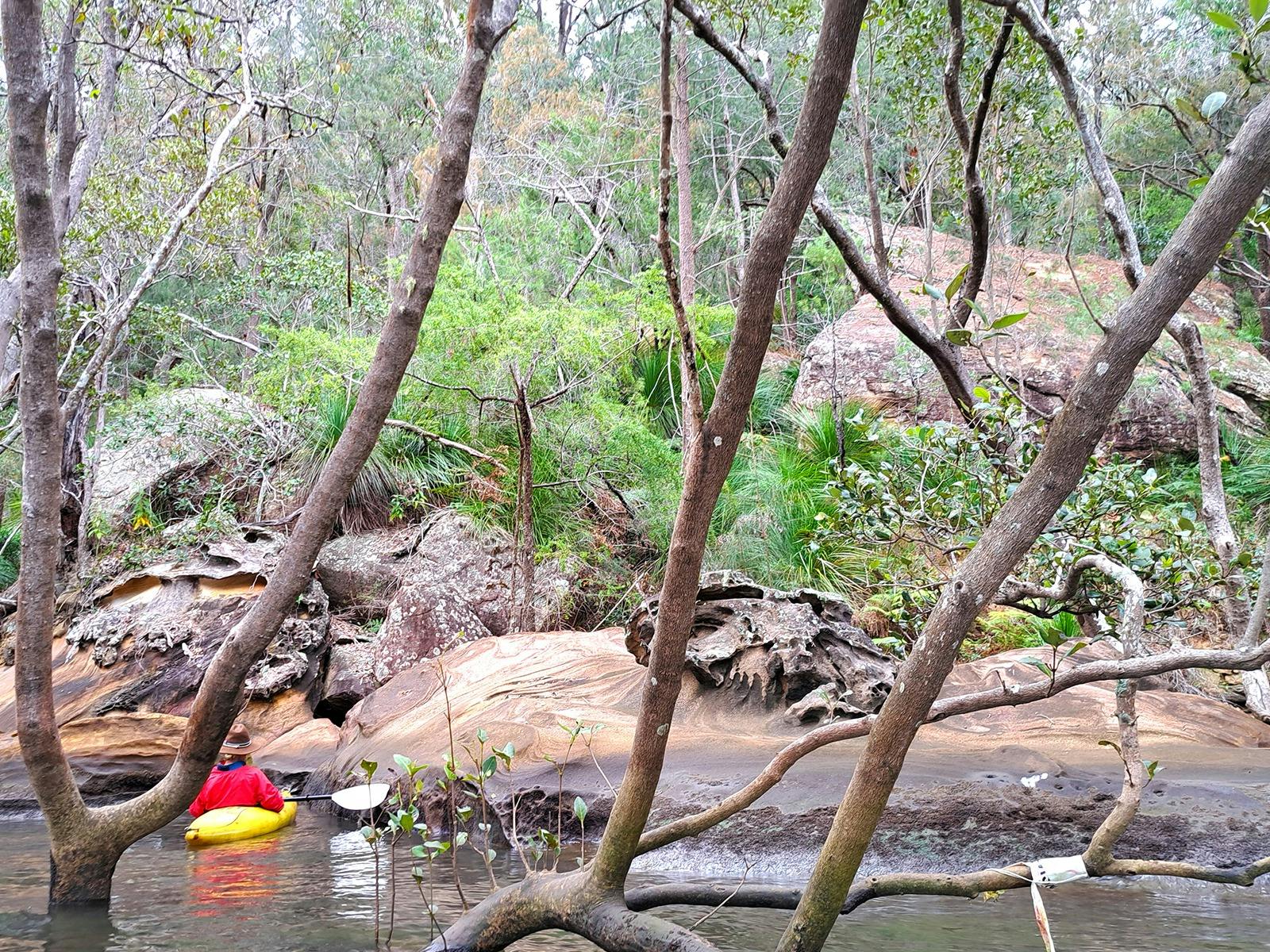 Hawkesbury Sandstone River Rock Formation