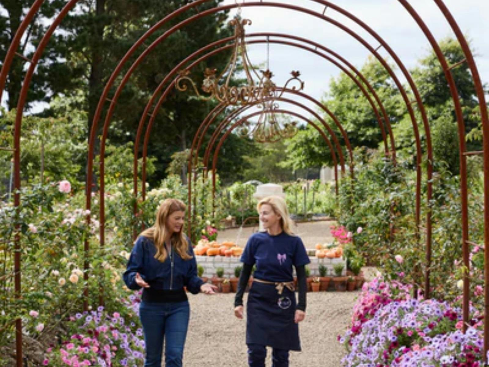 Oxley Hill Farm Flowers 2