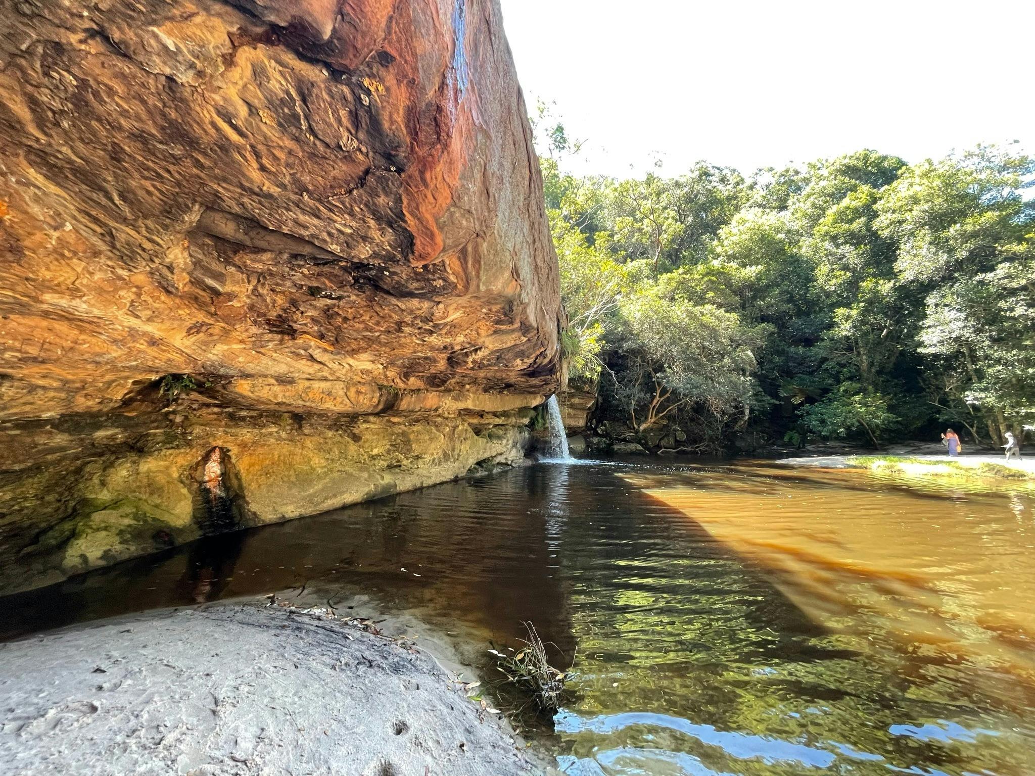 Erkunden Sie das Irrawong-Reservat - Jim-Revitt Walk