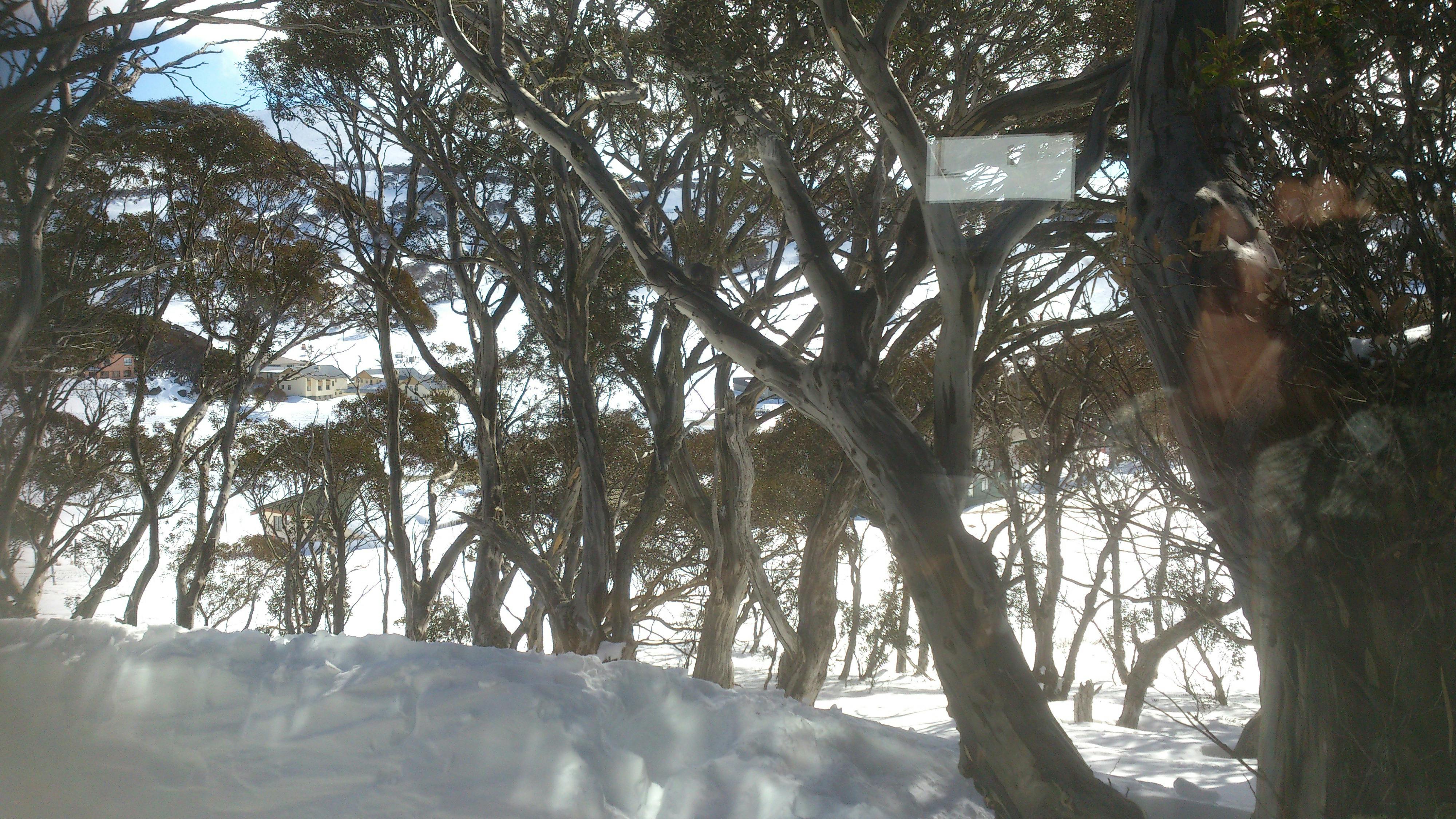 Peace and relaxation