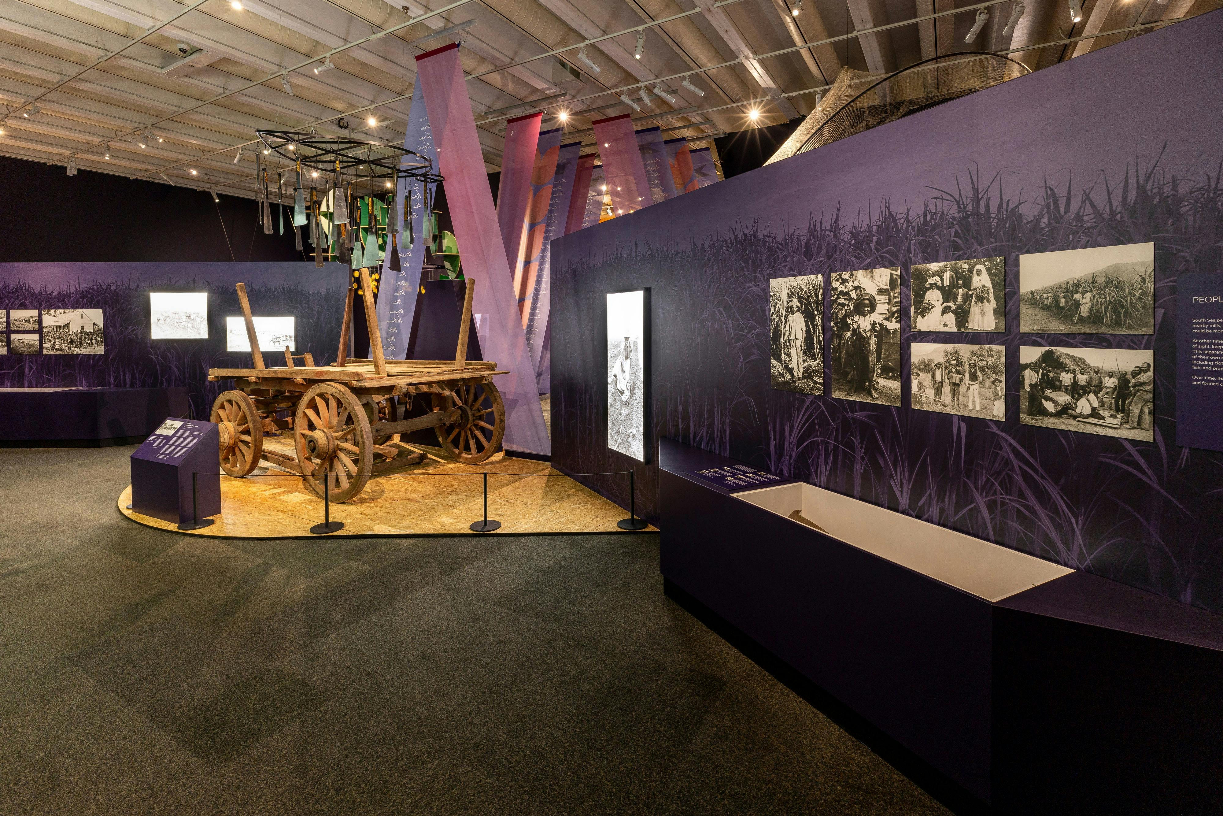 Curator Tours of Say Our Name: Australian South Sea Islanders