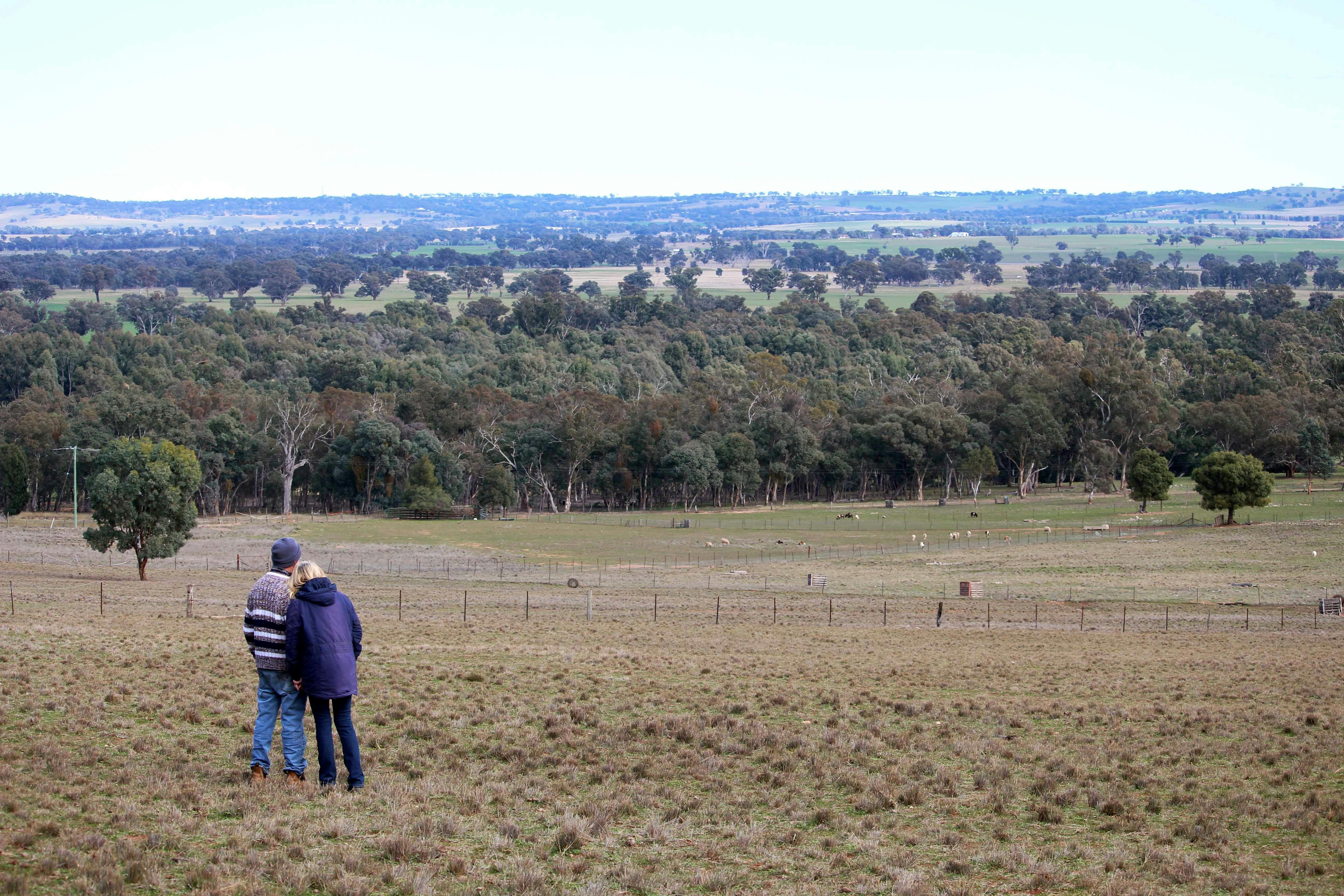 昆比公园的卡平区风景优美