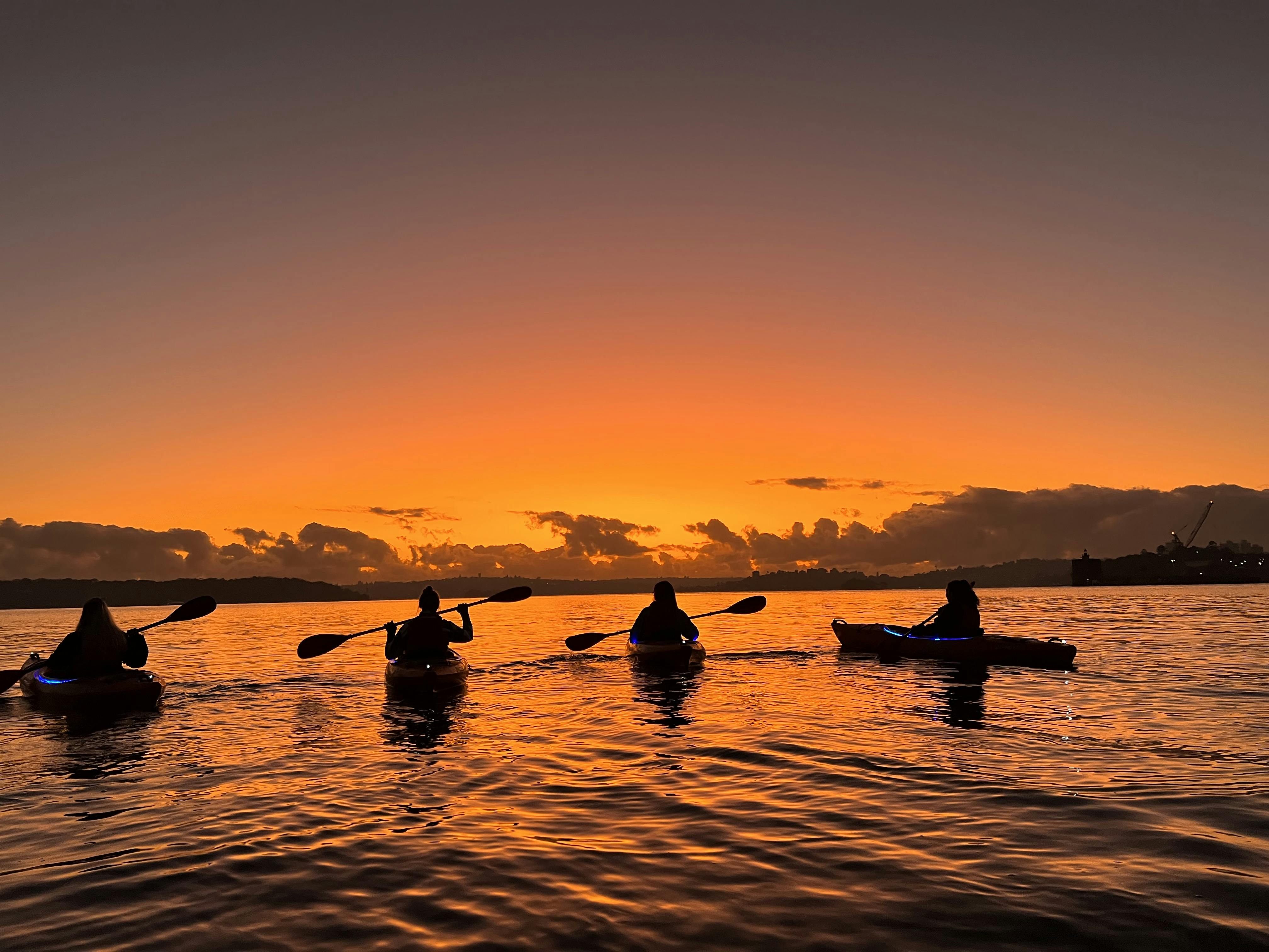 Sunrise Paddle in Sydney Harbour