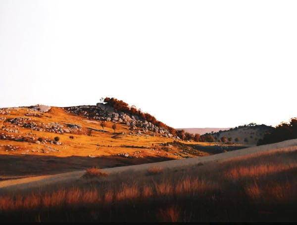 Exhibition: LAND MARKS - here and there - 2025