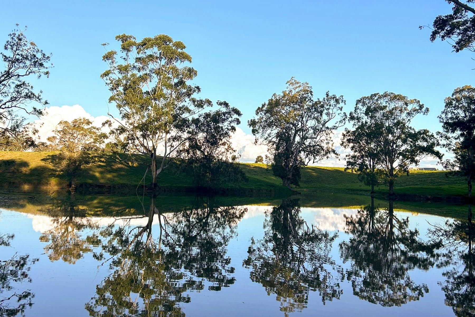 올드 두니날드 빌라봉