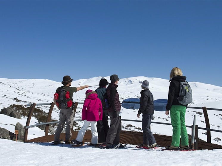 Charlotte Pass and Lookout