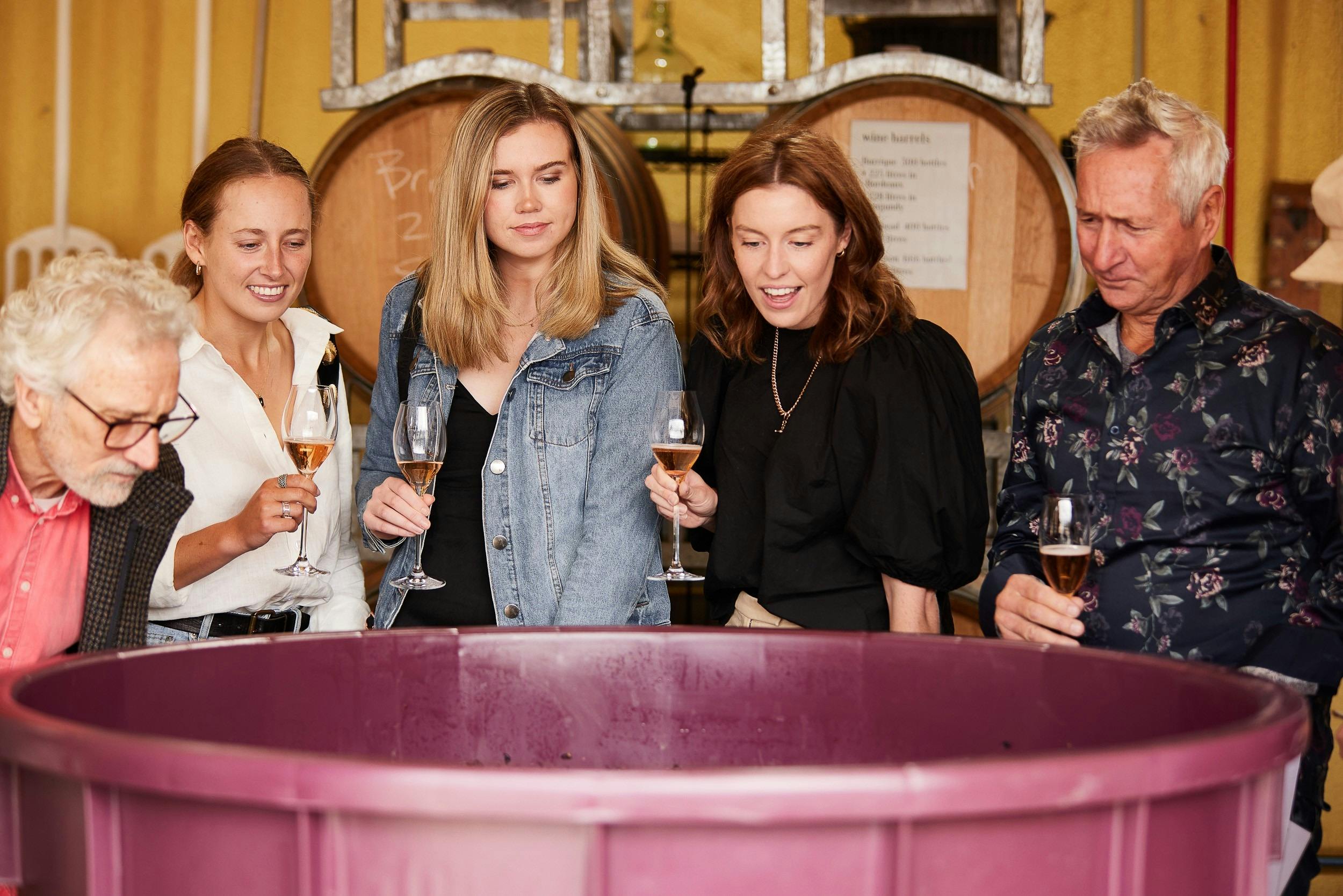 Watching a Pinot Noir ferment before tasting it!