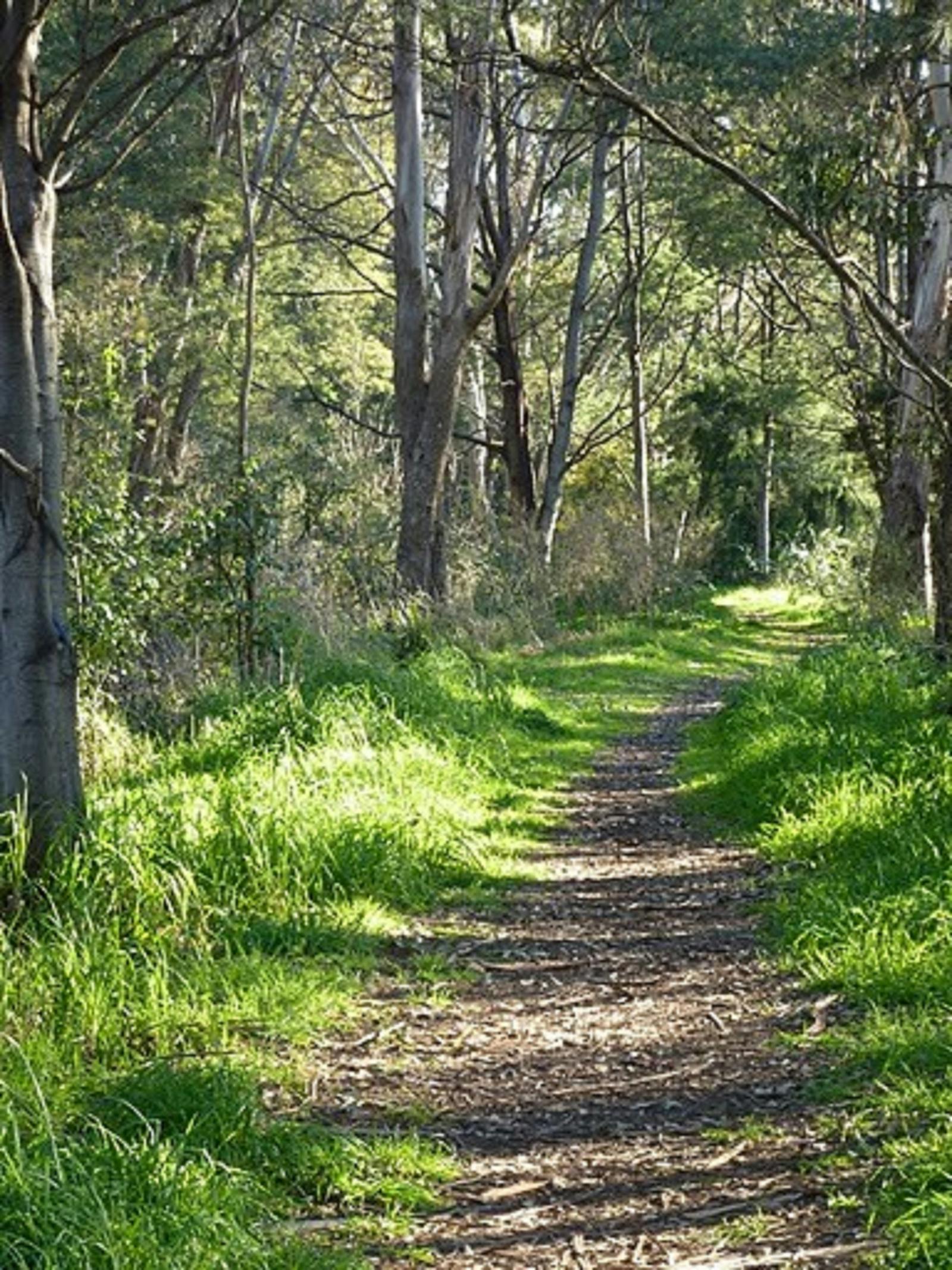 Stoodley Forest Walk and Arboretum