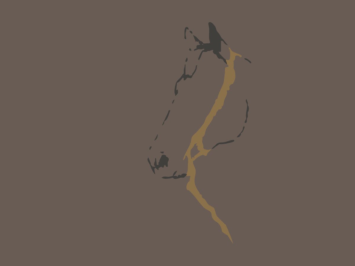 gallop through the ages banner