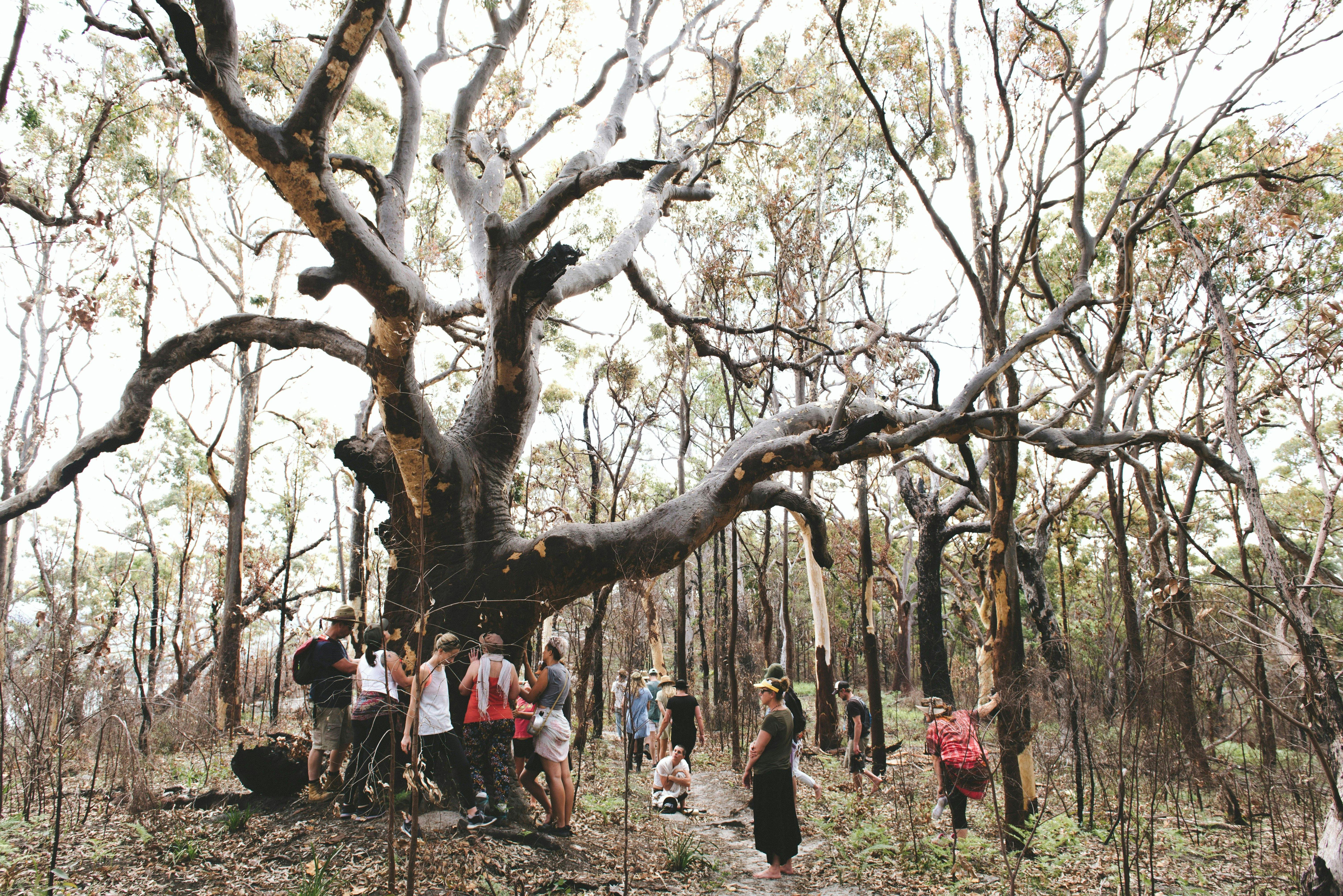 Bouddi National Park tour