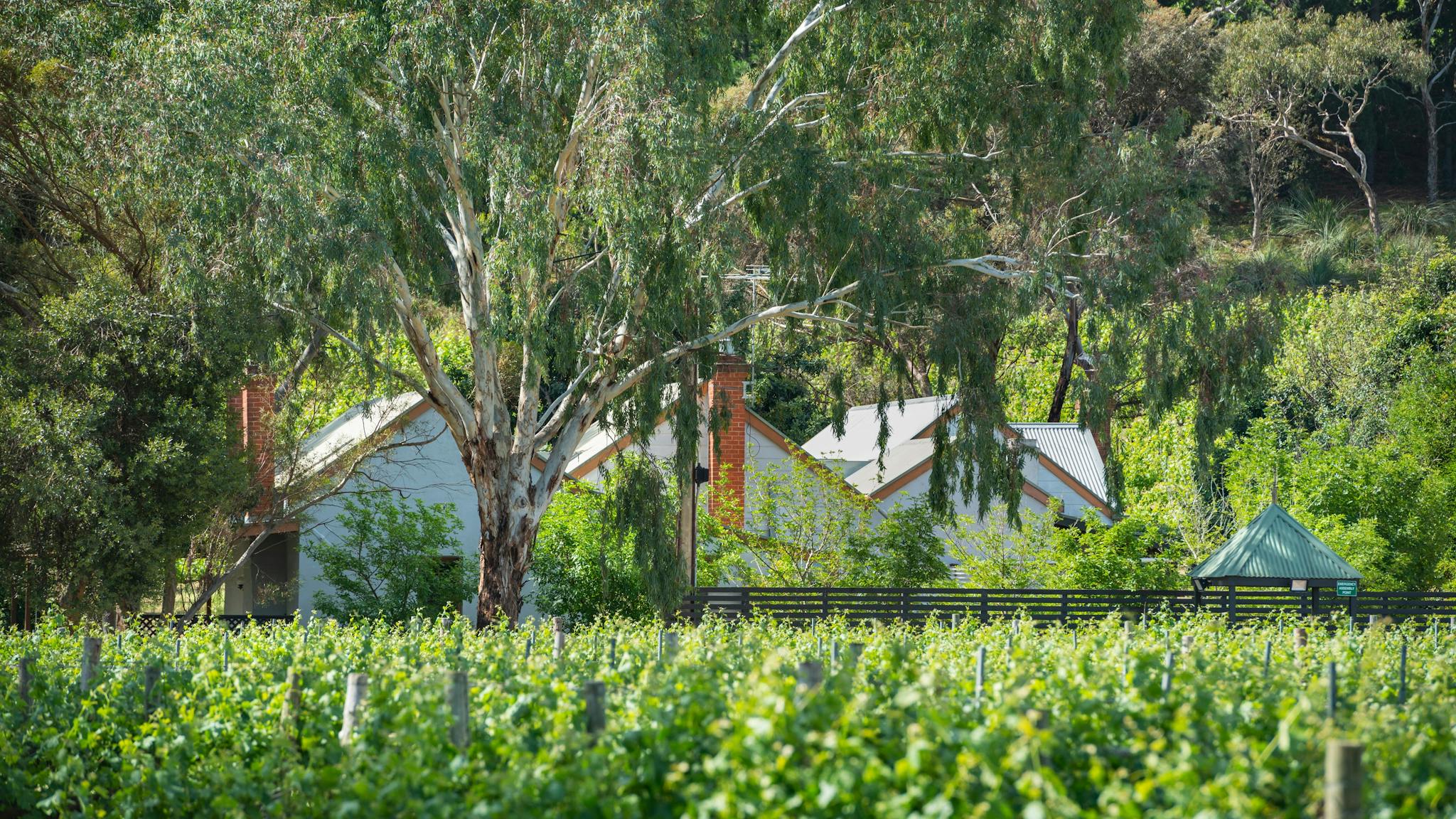 McLaren Vale Getaways - Clements House