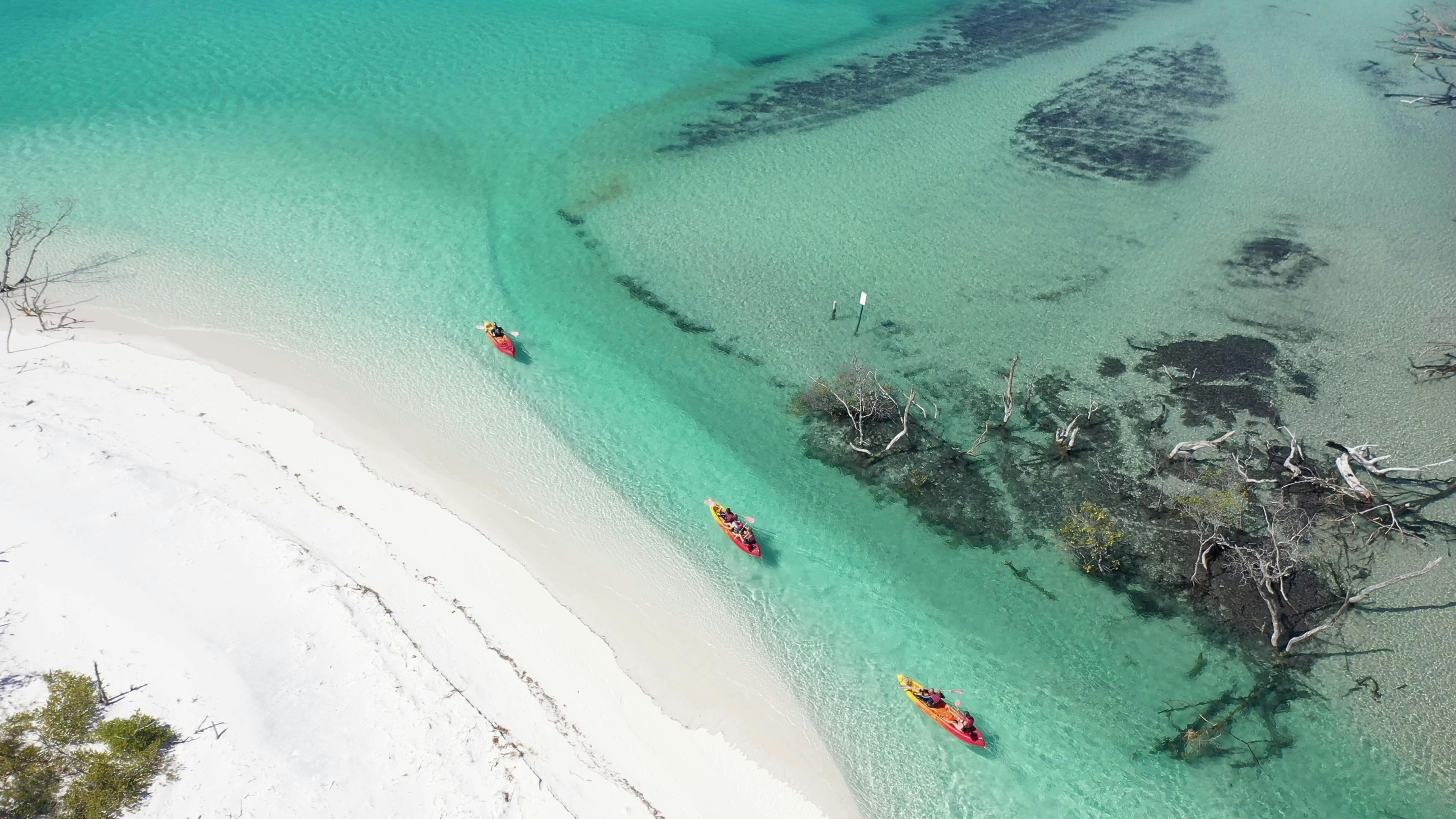 Kayaking Fraser Island
