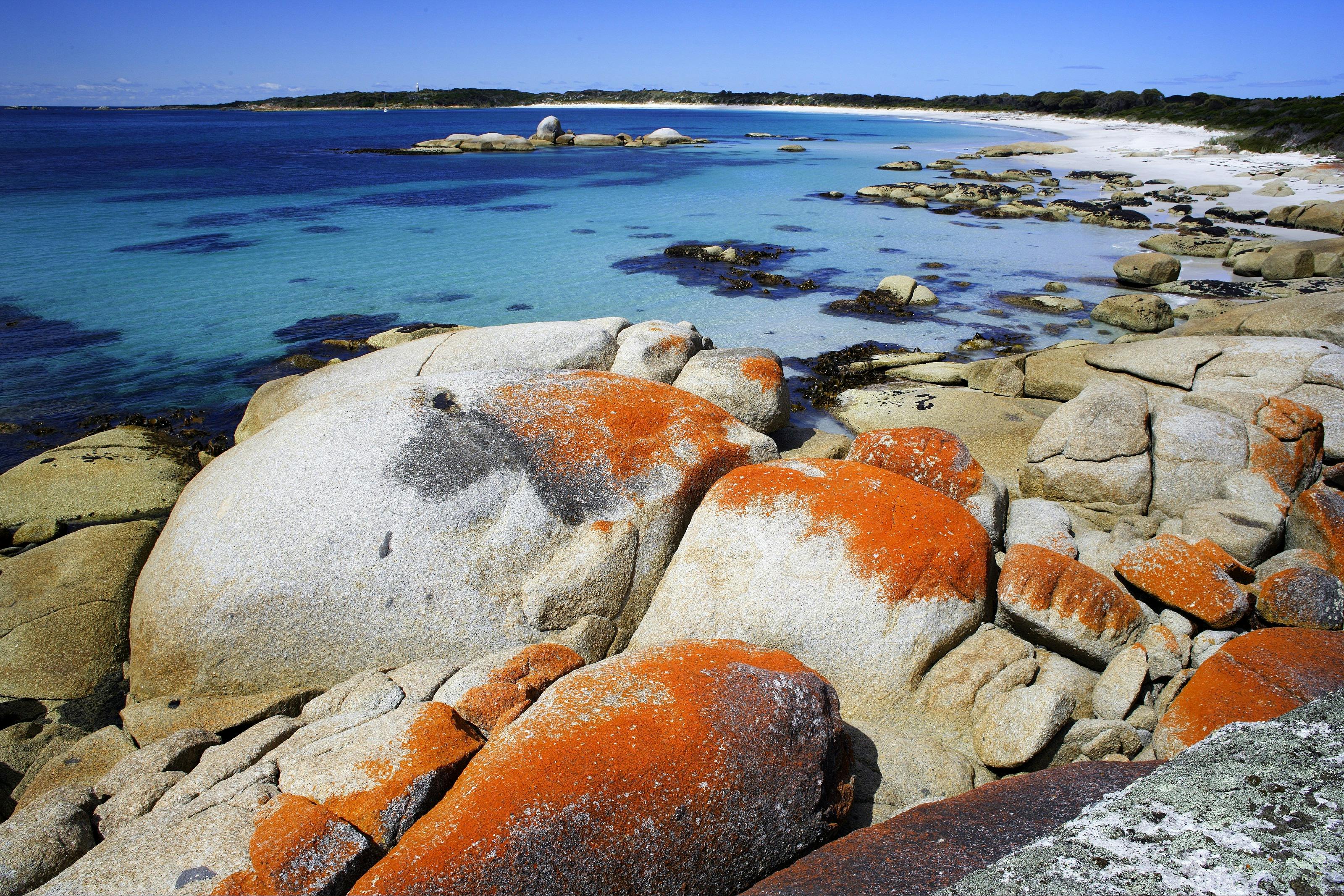 Mount William National Park
