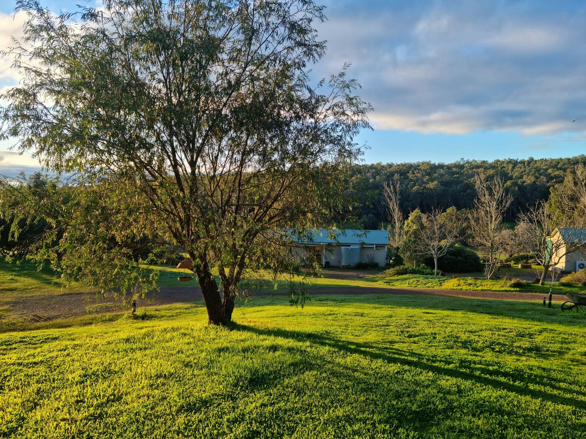 Lewis Park Chalets