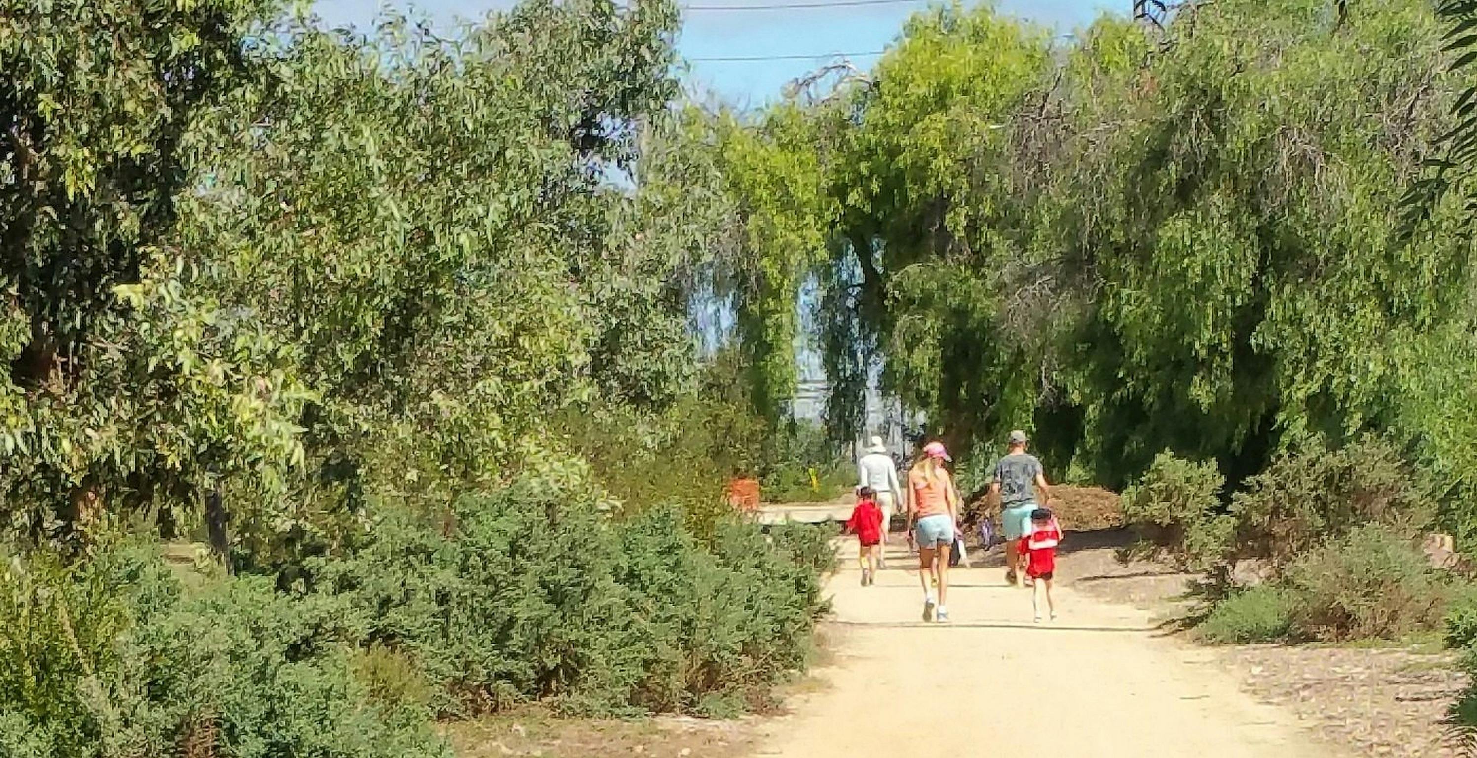 Gladys Elphick Park / Narnungga (Park 25)