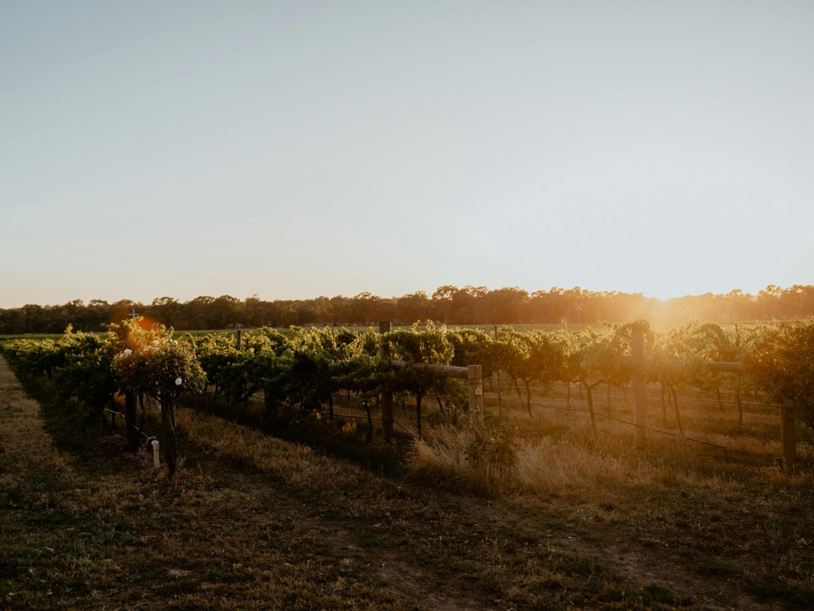 Balgownie Estate Bendigo