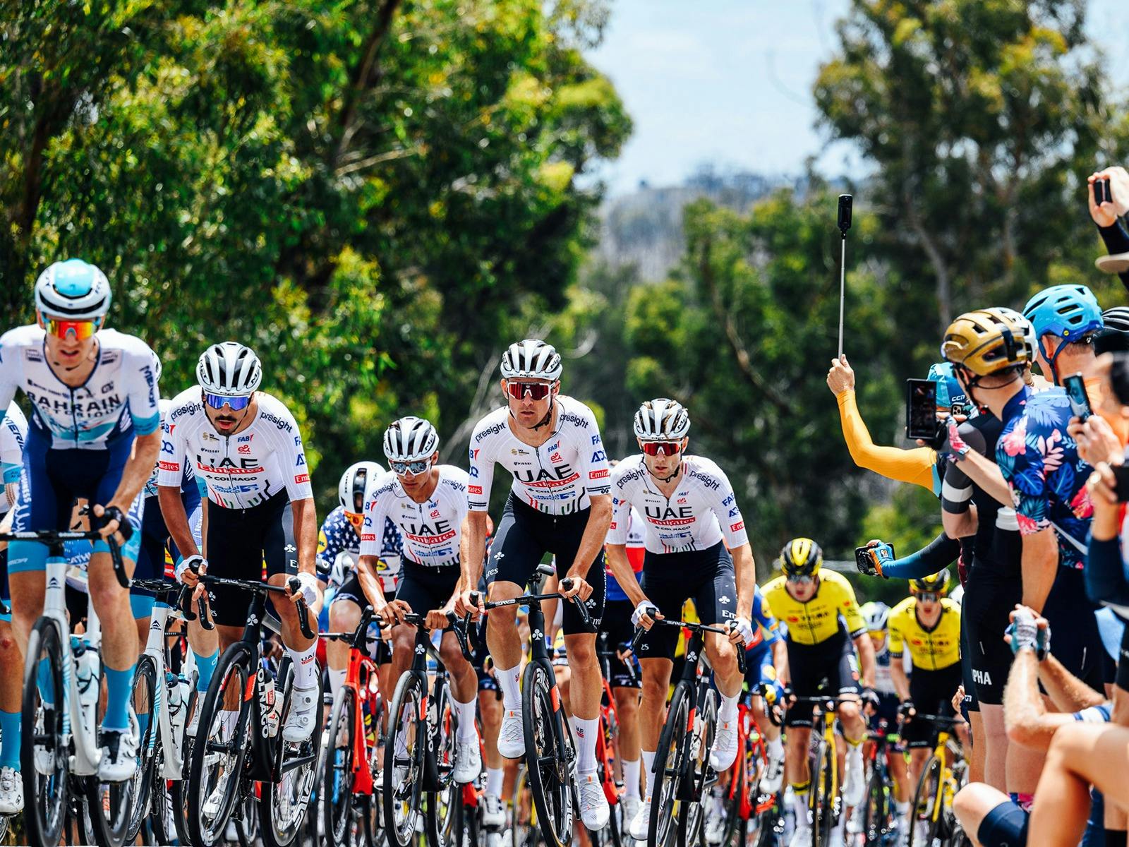 Santos Tour Down Under Men's Stage 3