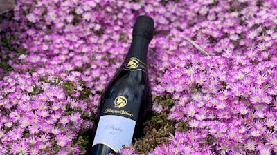 Bubbles in Springtime