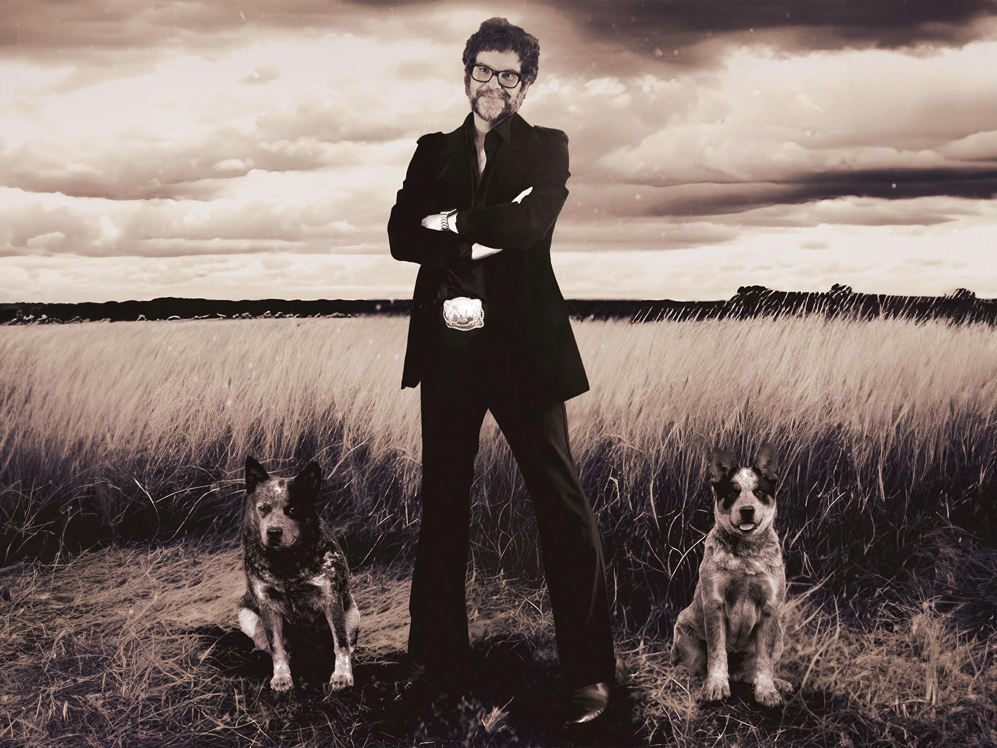 Henry Wagons image